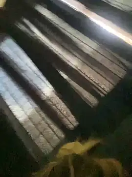 sabrinaneves online show from February 2026 04:19:02 PM