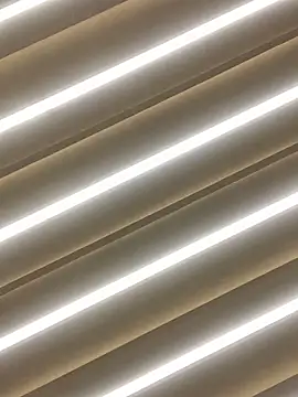 sabrinaneves online show from March 2026 10:42:01 AM