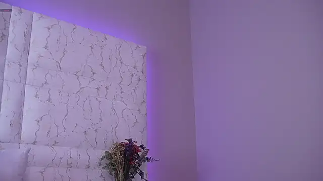 Snapshot of Idriill chatting on December 2025 09:03:02 PM Idriill online show from December 2025 09:03:02 PM