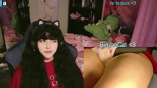 Snapshot of BimboCat chatting on June 2026 08:07:02 PM BimboCat online show from June 2026 08:07:02 PM