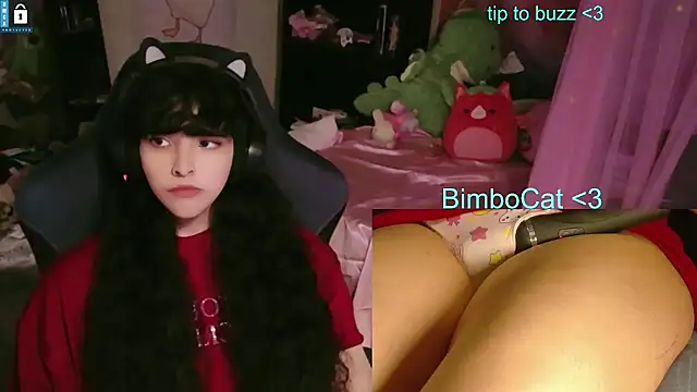 Snapshot of BimboCat chatting on June 2026 08:28:01 PM BimboCat online show from June 2026 08:28:01 PM