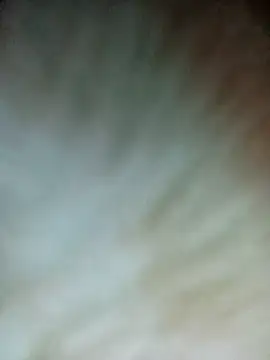 Nul-chal online show from February 2026 06:19:01 PM