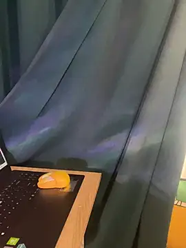 trinhvutrinh online show from April 2026 04:16:02 AM