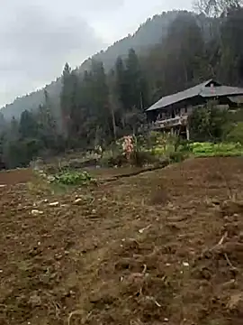 tian7788 online show from February 2026 02:53:02 AM