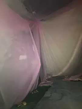 Snapshot of gino-sex chatting on November 2025 06:02:02 AM gino-sex online show from November 2025 06:02:02 AM