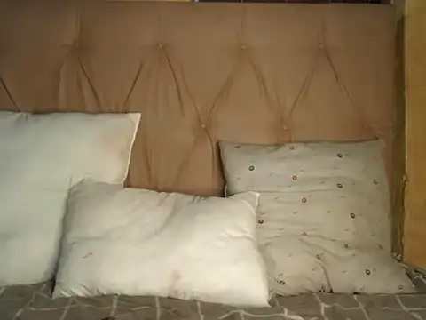 Lucile Carrie online show from February 2026 02:02:01 PM