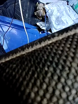 pino870 online show from November 2025 09:02:02 AM