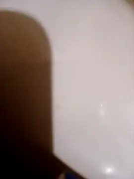 Snapshot of pino870 chatting on February 2026 10:20:01 PM pino870 online show from February 2026 10:20:01 PM