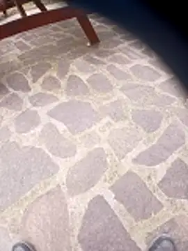 pino870 online show from March 2026 01:57:01 PM