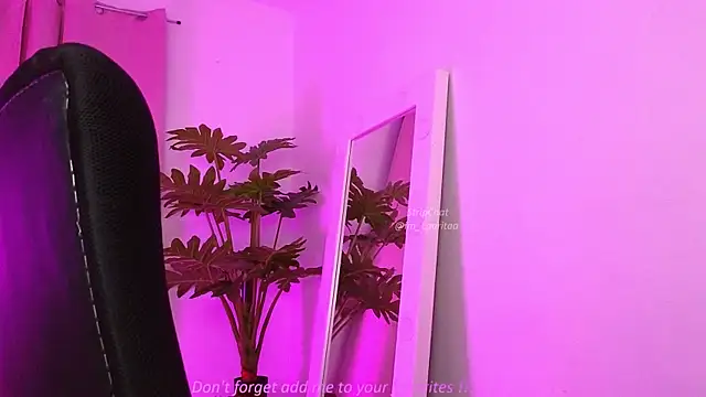 BabyLauritaa online show from March 2026 11:08:01 PM