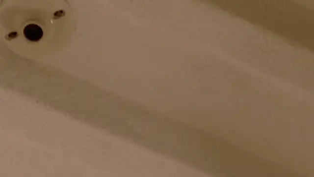 Zara Nova online show from December 2025 11:32:02 PM