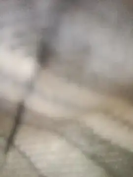 Pallu Asha online show from March 2026 04:23:01 AM