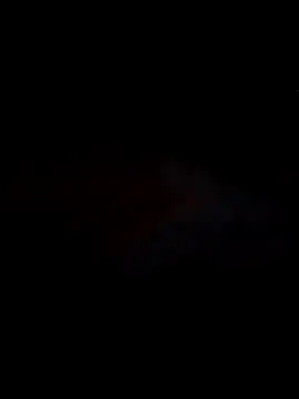 Pallu Asha online show from February 2026 01:03:01 AM