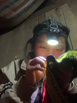 bi-bo123 online show from February 2026 01:18:02 PM