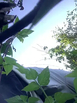 bi-bo123 online show from May 2026 09:51:02 AM