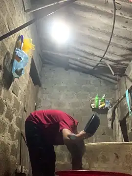 bi-bo123 online show from December 2025 11:58:02 AM