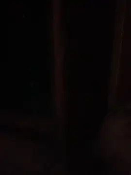 bi-bo123 online show from December 2025 03:17:02 AM