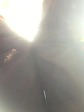 bi-bo123 online show from January 2026 05:03:01 AM