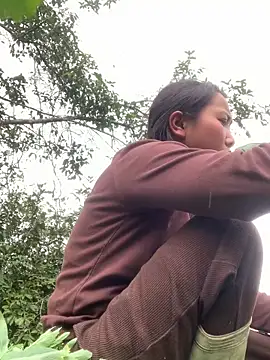 bi-bo123 online show from February 2026 06:47:02 AM