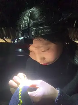 bi-bo123 online show from February 2026 02:14:02 AM