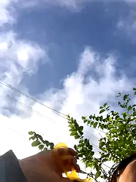 bi-bo123 online show from November 2025 01:26:02 AM