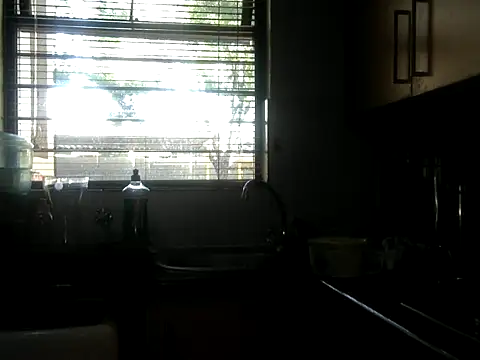 NewBeginnings8 online show from November 2025 06:06:02 AM