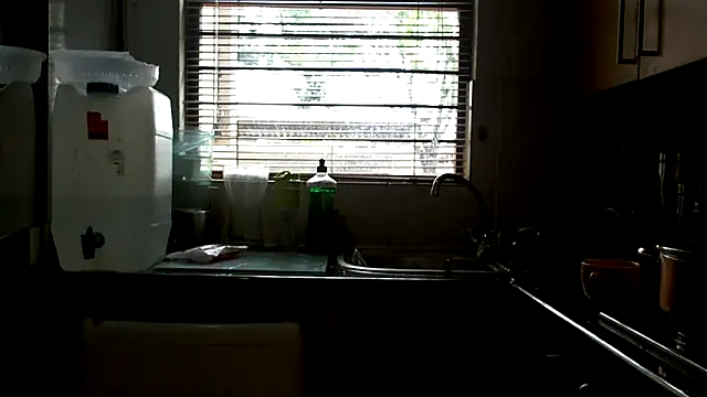 NewBeginnings8 online show from April 2026 11:12:01 AM