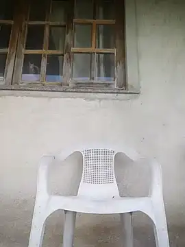 Snapshot of rooliv1 chatting on February 2026 03:44:02 PM rooliv1 online show from February 2026 03:44:02 PM