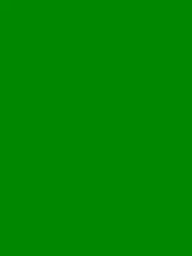 gatitaamelosaa7 online show from April 2026 12:56:01 PM