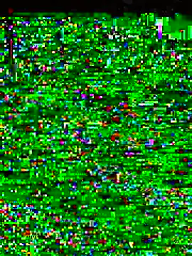 gatitaamelosaa7 online show from February 2026 09:45:01 PM