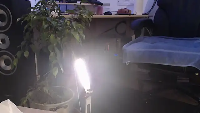 metalhead1970xh online show from February 2025 06:33:01 AM