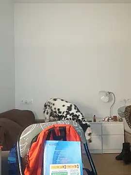 Dominantepollon89 online show from February 2026 01:38:01 AM