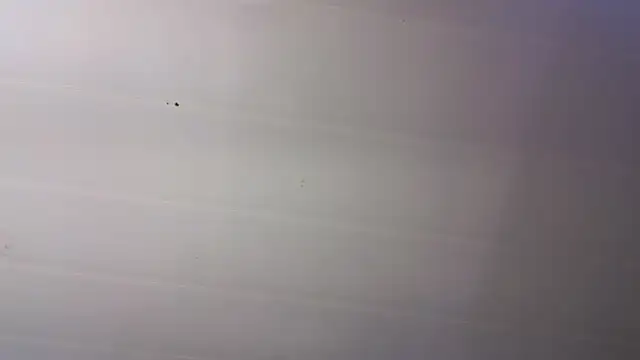 malen fitnessmilf online show from March 2026 11:43:01 AM