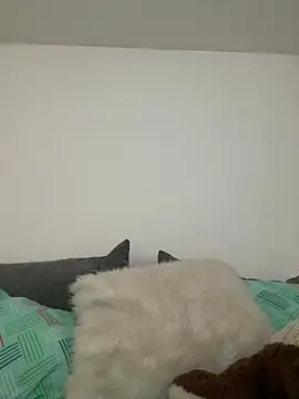 Ania rose online show from February 2026 05:54:01 PM