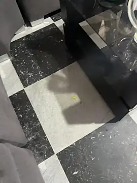 Samantha firee online show from December 2025 11:12:02 AM