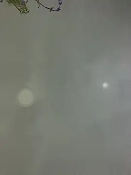 Samantha firee online show from March 2026 11:23:02 PM