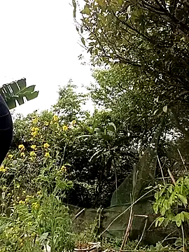 Alice-567 online show from March 2026 06:28:02 AM