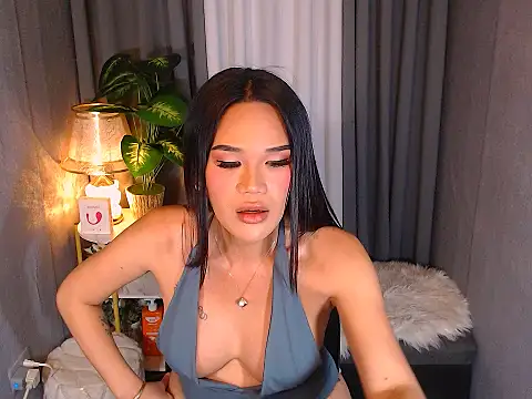 transSTARprincess online show from February 2026 04:46:01 AM