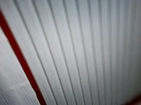 xwildflowerx online show from March 2026 09:22:01 PM