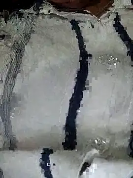 vijaylaxmi69 online show from November 2025 05:08:02 PM