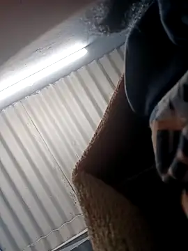 bearslove143 online show from November 2025 05:56:01 AM