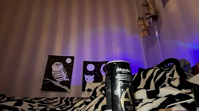 Snapshot of BootedRush chatting on November 2025 04:33:01 PM BootedRush online show from November 2025 04:33:01 PM