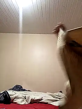 arybiten online show from February 2026 10:14:02 AM