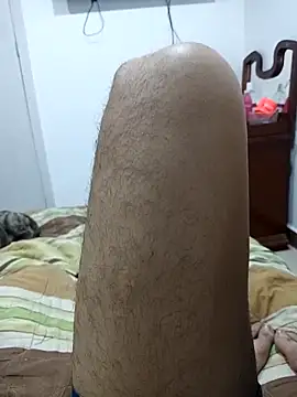 6perlas9 online show from November 2025 06:36:02 AM