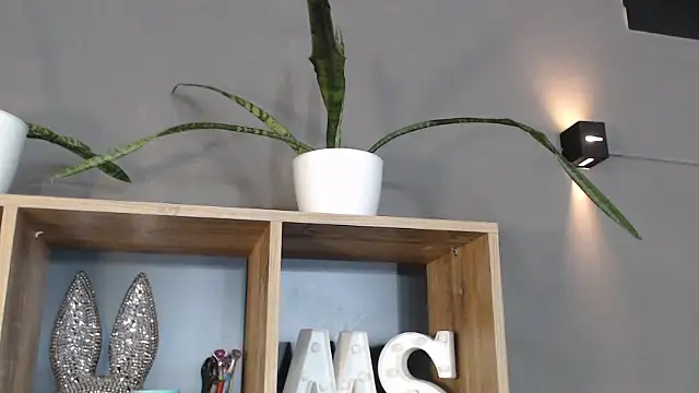 mickystrumia23 online show from January 2026 06:34:02 PM