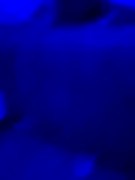 Asstray909 online show from November 2025 12:20:01 PM