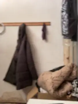 Ndodemnyamaxh online show from December 2025 04:01:01 AM