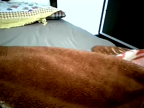 Snapshot of Cute_DimpleGirl chatting on November 2025 04:54:01 PM Cute DimpleGirl online show from November 2025 04:54:01 PM