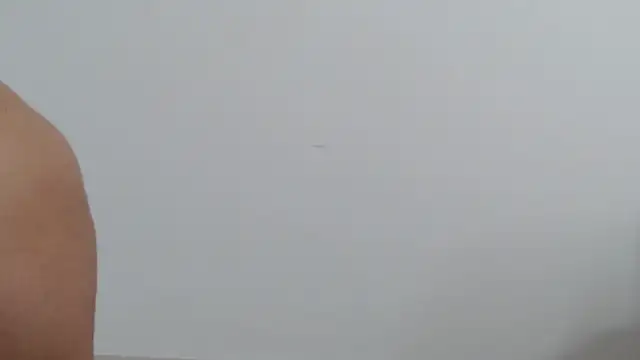 Snapshot of goddessvenus444 chatting on March 2026 03:41:01 PM goddessvenus444 online show from March 2026 03:41:01 PM