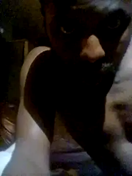 Snapshot of Ajsgardens chatting on November 2025 08:46:01 PM Ajsgardens online show from November 2025 08:46:01 PM